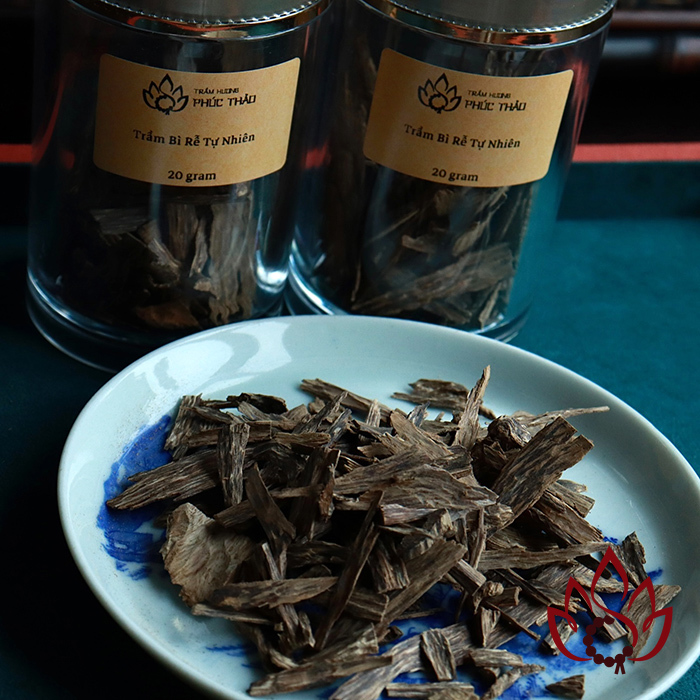 Trầm Bì Rễ Miếng Xông Đốt Tự Nhiên | 10 gram